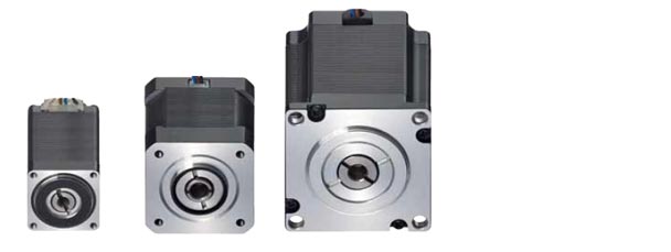 lead screw motors