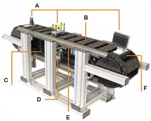 Structure pikchain® conveyor chain