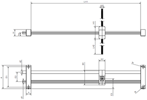 linear module