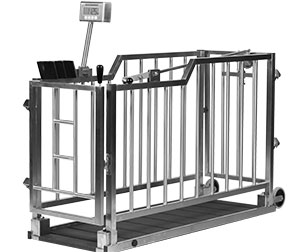 Single animal livestock scale – overall view