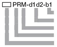 Piston ring part number structure