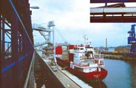 Shiploader Crane