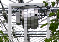 Cameras in the greehouse