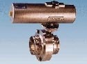 Pneumatic rotary drive