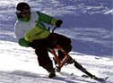 Ski bikes